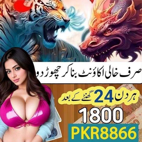 kq888