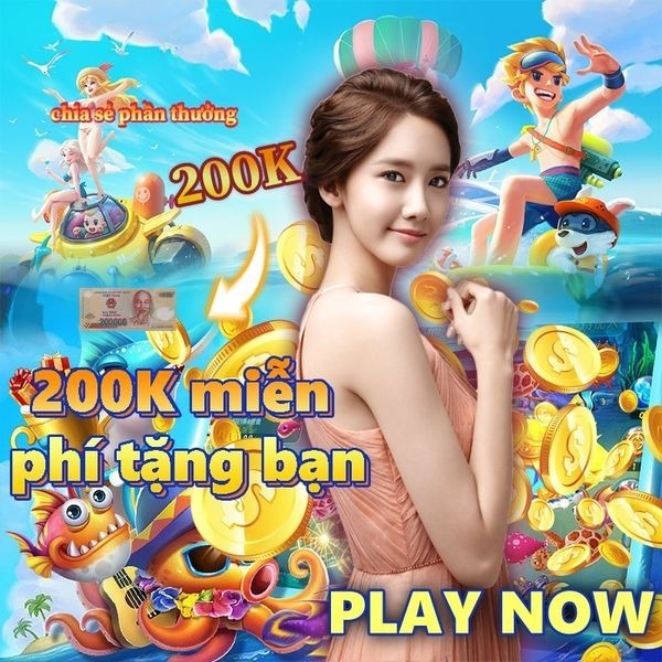 kq888